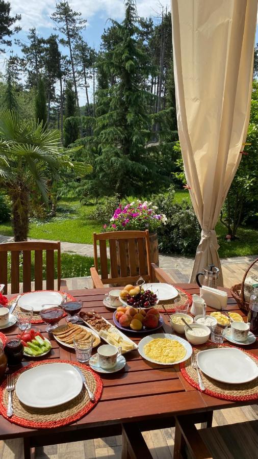 Neli & Zaal Guest House تأيلافي المظهر الخارجي الصورة